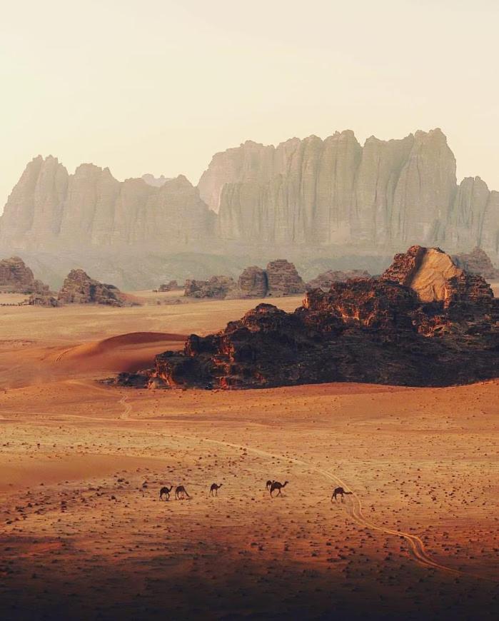 Wadi Rum Desert Camp 外观 照片